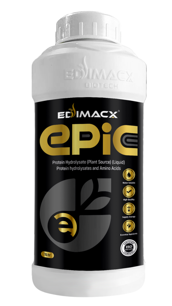 EDIMACX EPIC