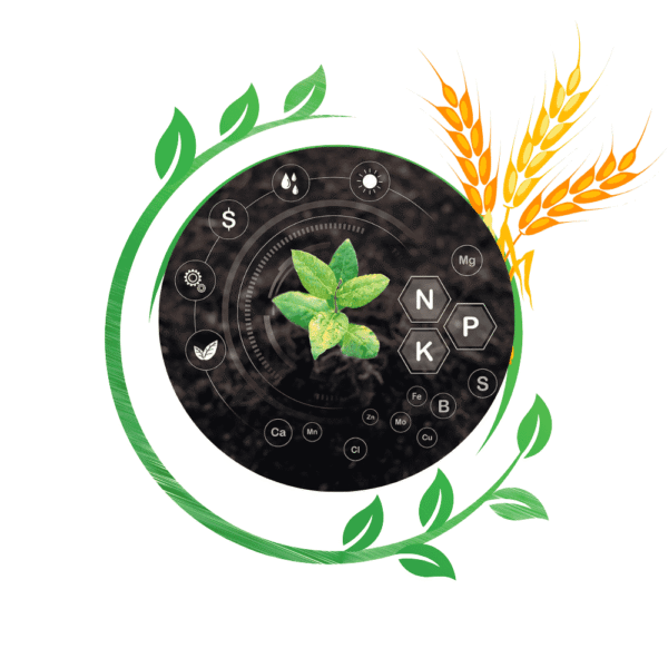 EDIMACX  Dicot–11 | ईडिमॅक्स डीकॉट-11