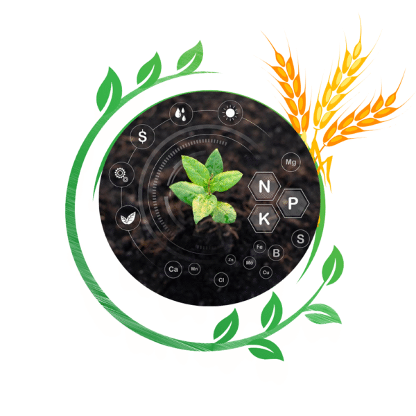 EDIMACX BUNDHA PLUS | ईडिमॅक्स बुंधा प्लस