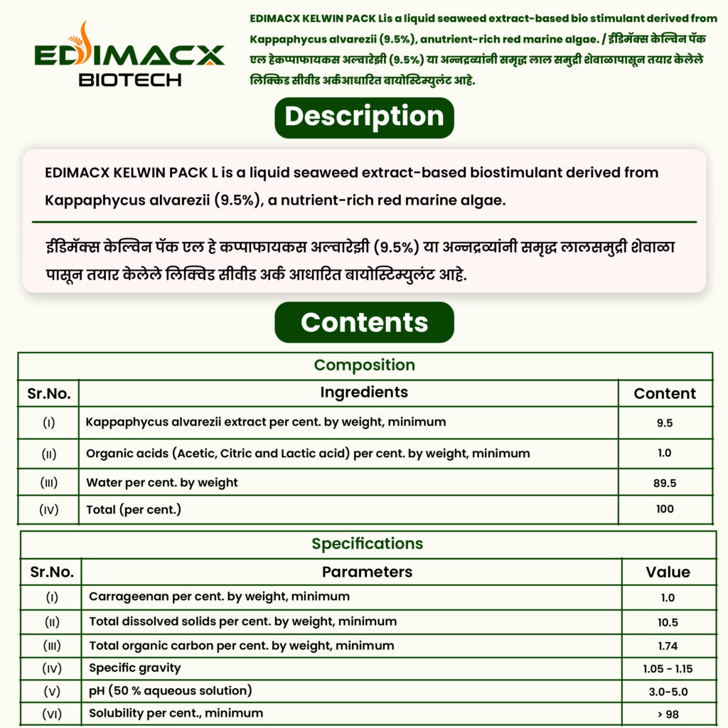 EDIMACX KELWIN PACK L | ईडिमॅक्स के क्ल्वन पॅक एल