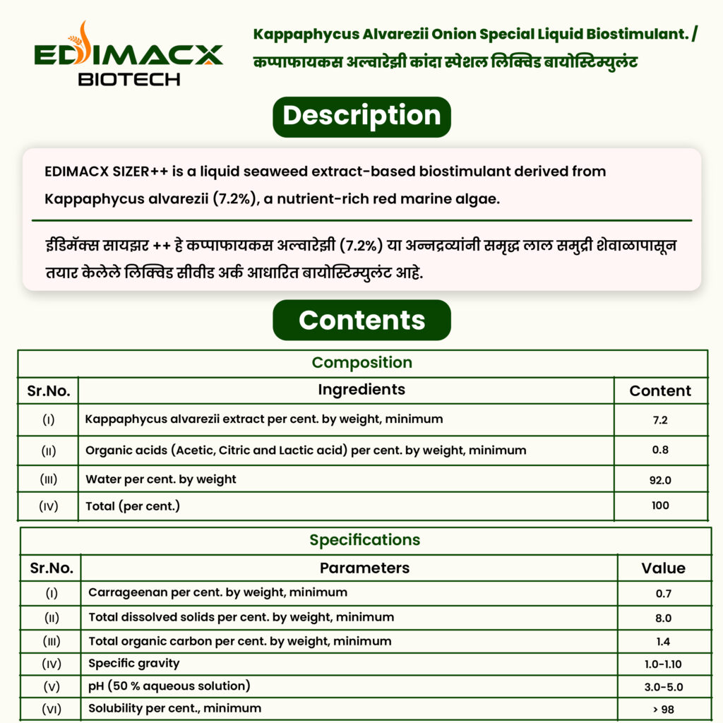 EDIMACX SIZER++ | ईडिमॅक्स सायझर++
