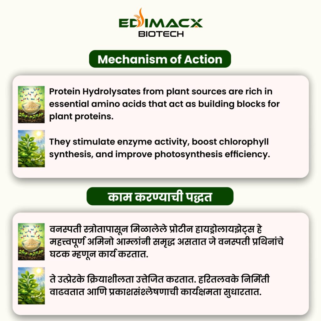 EDIMACX ARISE | ईडिमॅक्स अराईज