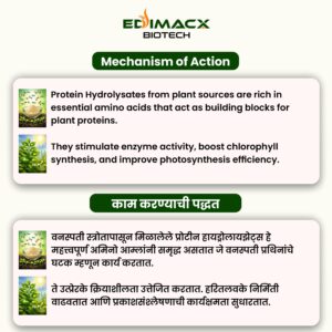 EDIMACX ARISE | ईडिमॅक्स अराईज - Image 4