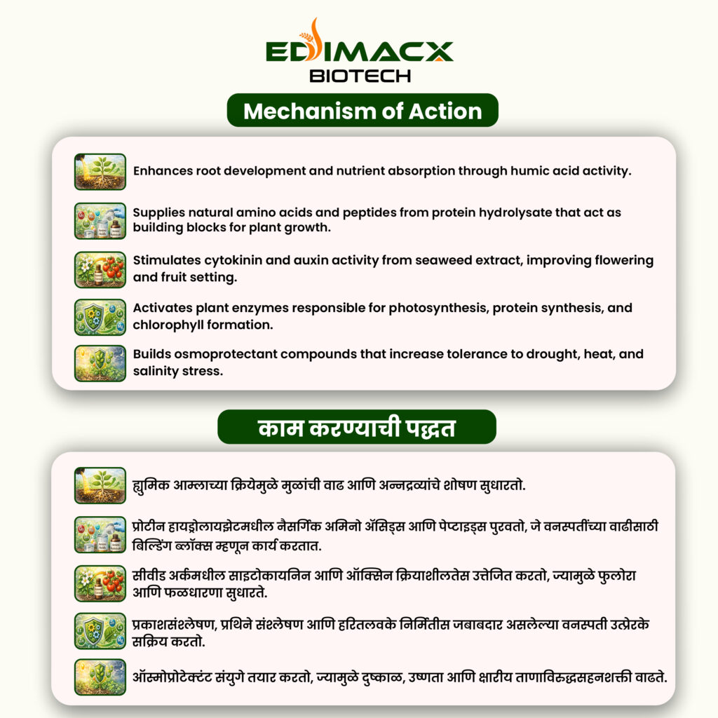 EDIMACX INTACT-P | ईडिमॅक्स इनटॅक्ट-पी