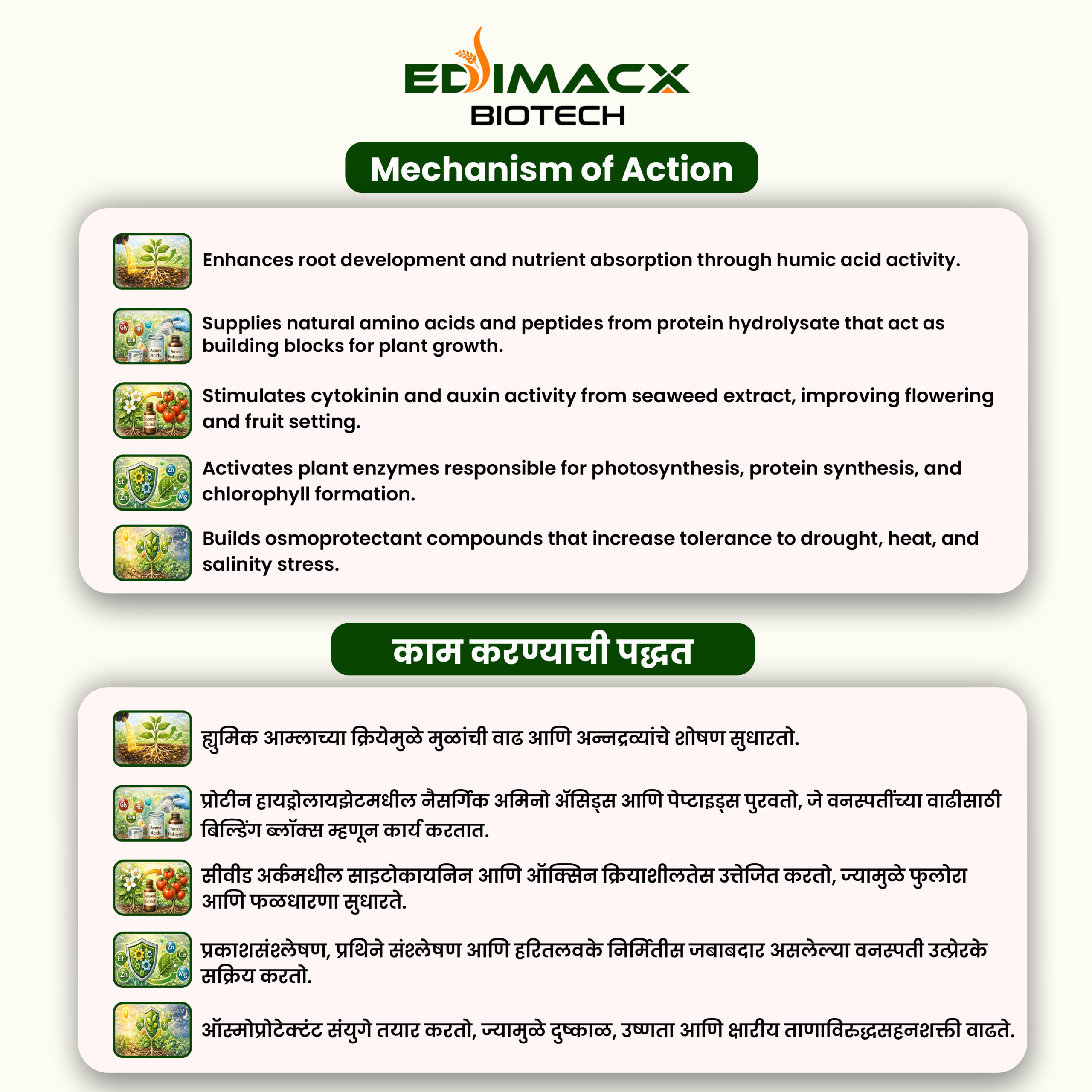 EDIMACX INTACT-P | ईडिमॅक्स इनटॅक्ट-पी - Image 3