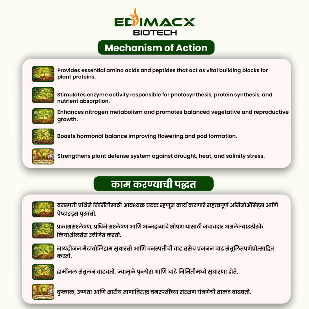 EDIMACX ISBEN | ईडिमॅक्स इसबेन