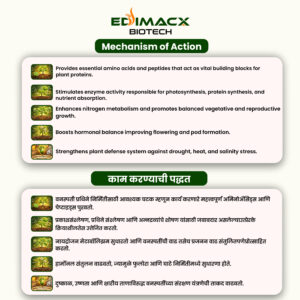 EDIMACX ISBEN | ईडिमॅक्स इसबेन - Image 3