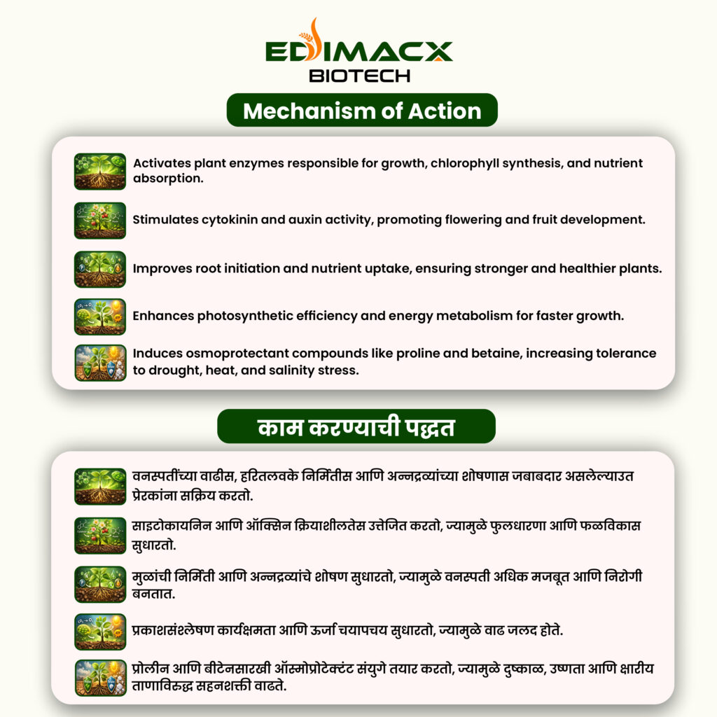 EDIMACX KELWIN PACK L | ईडिमॅक्स के क्ल्वन पॅक एल