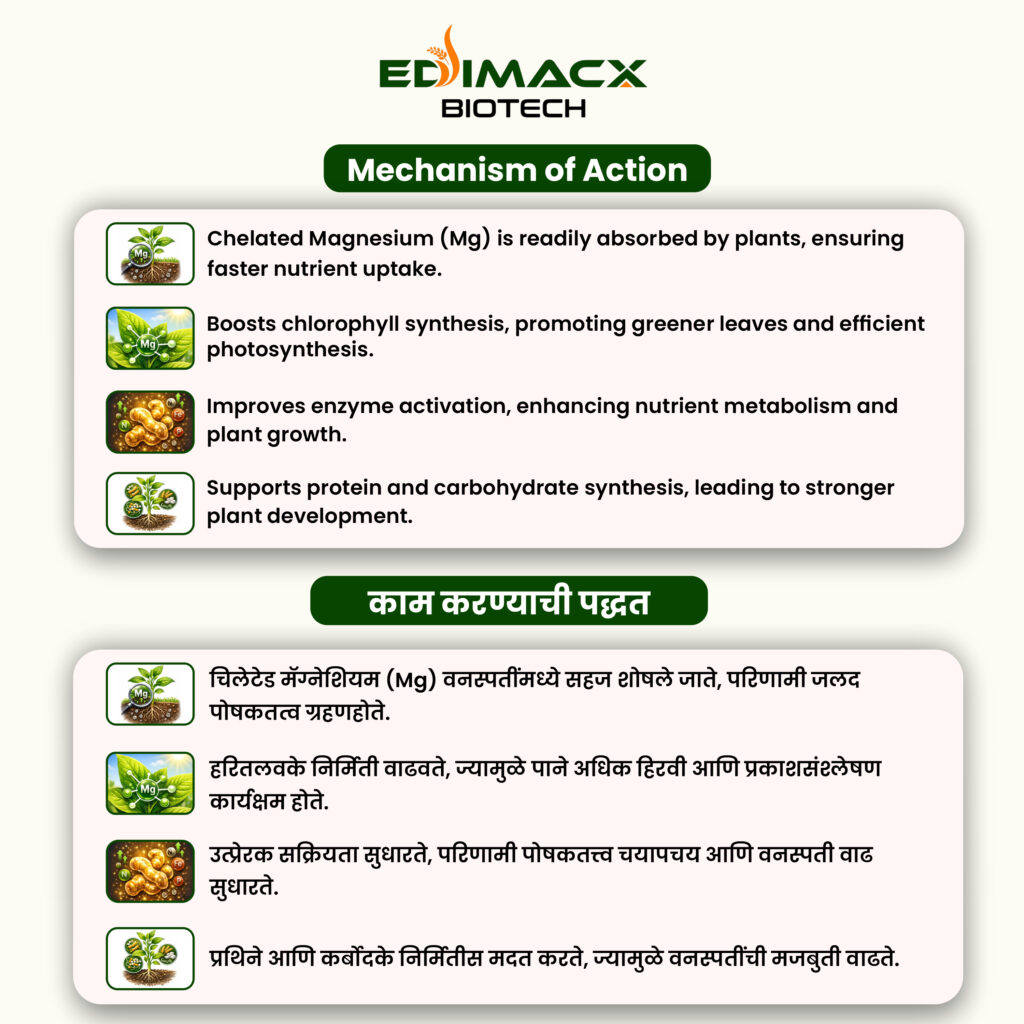 EDIMACX MAGNET MG 6% | ईडीमॅक्स मॅग्नेट Mg 6%