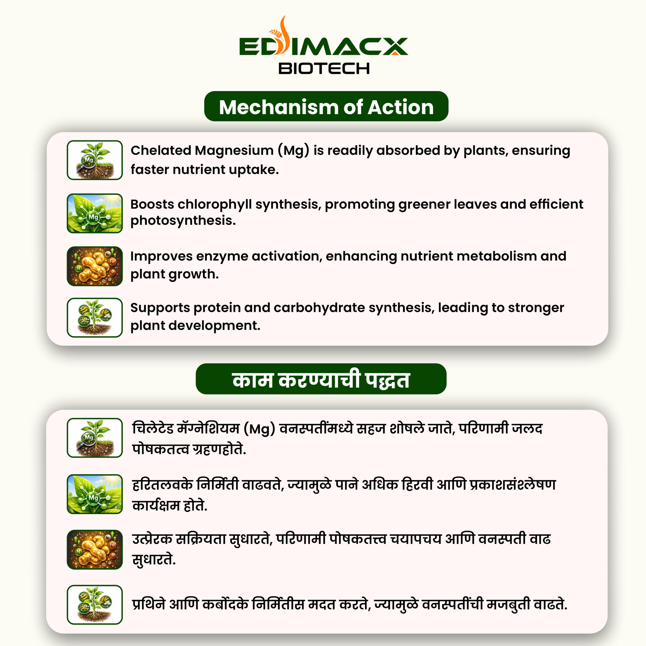 EDIMACX MAGNET MG 6% | ईडीमॅक्स मॅग्नेट Mg 6% - Image 3