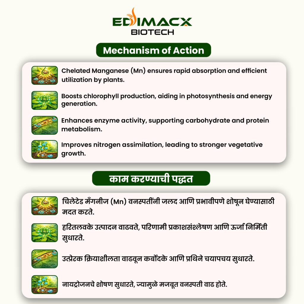 EDIMACX MN-10 | ईडीमॅक्स एमएन – १०