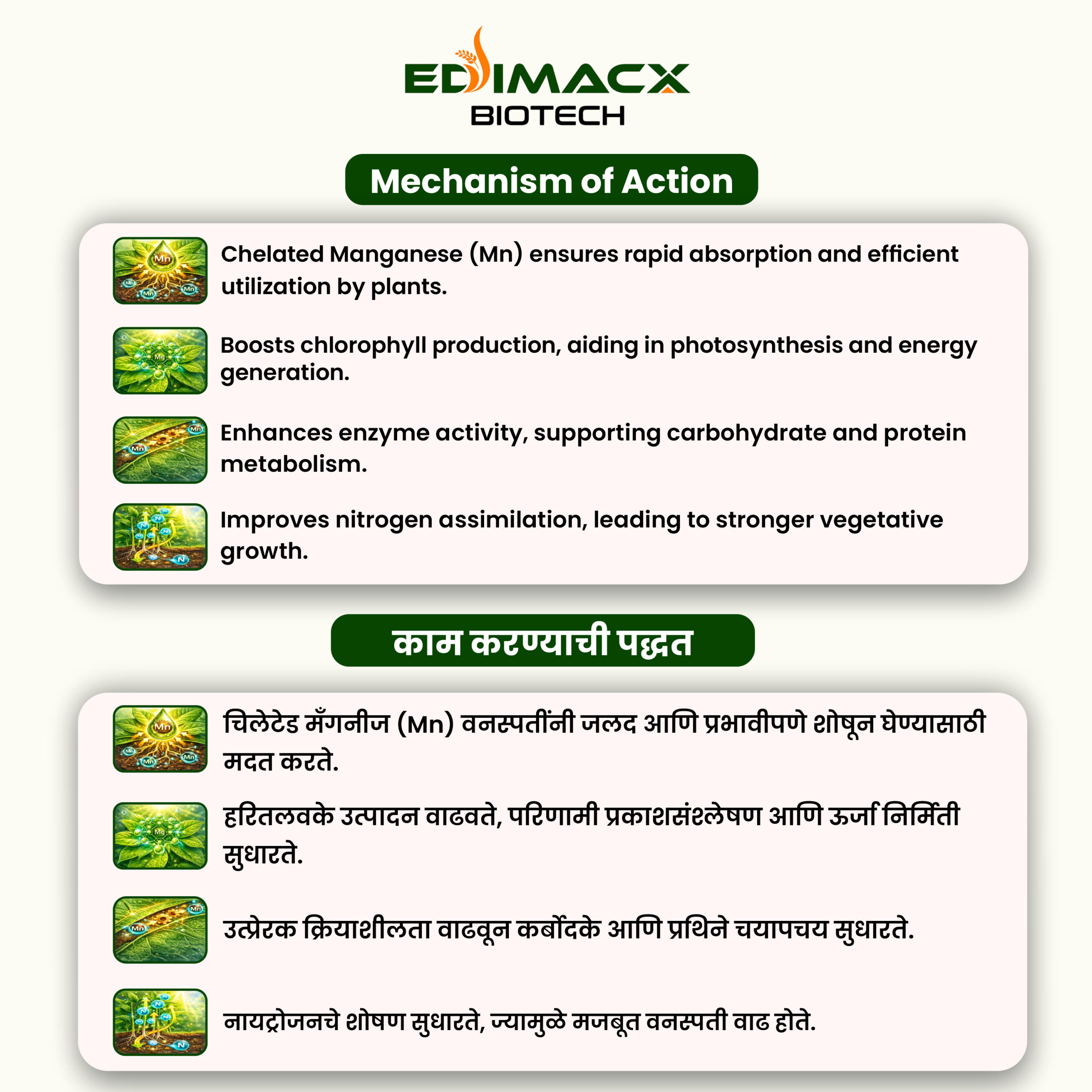 EDIMACX MN-10 | ईडीमॅक्स एमएन – १० - Image 3