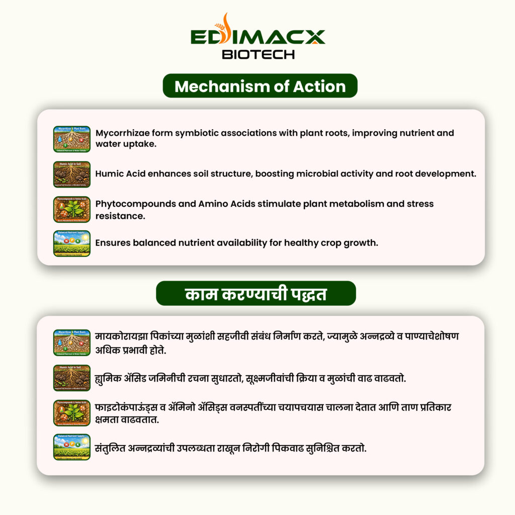 EDIMACX-MYCO GR | ईडिमॅक्स-मायको जीआर