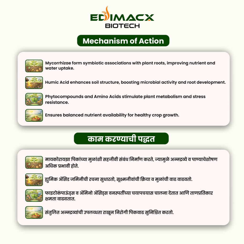EDIMACX MYCOP P | ईडीमॅक्स मायको पी