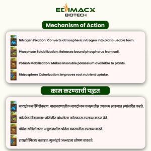 EDIMACX NPK-L | ईडिमॅक्स एनपीके-एल - Image 3