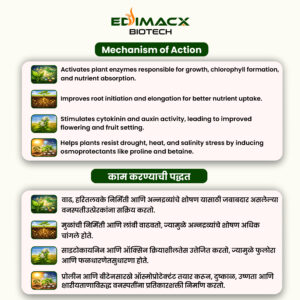 EDIMACX BUNDHA PLUS | ईडिमॅक्स बुंधा प्लस - Image 3