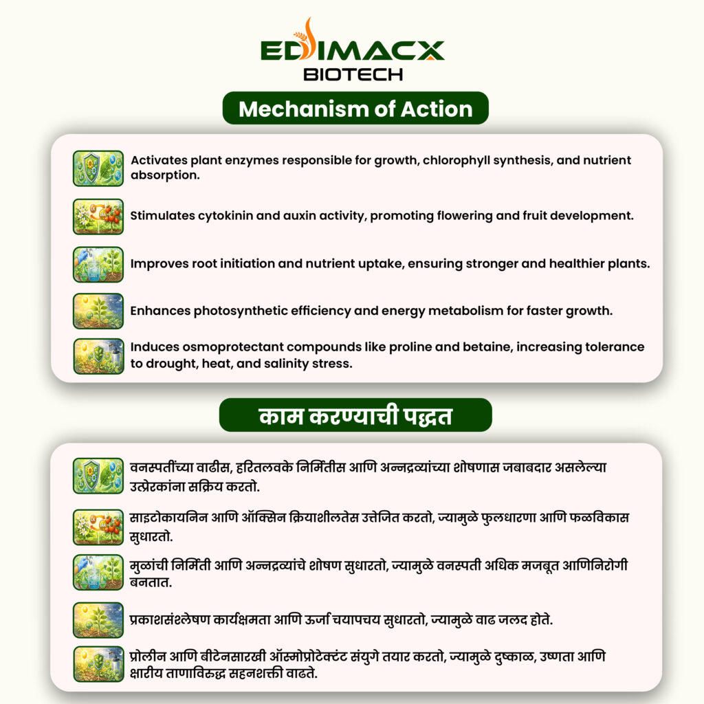 EDIMACX SIZER++ | ईडिमॅक्स सायझर++