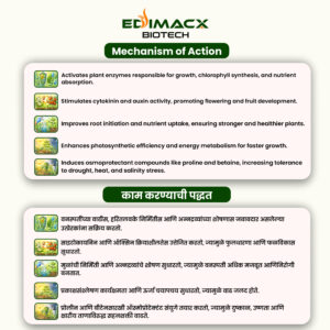 EDIMACX SIZER++ | ईडिमॅक्स सायझर++ - Image 3