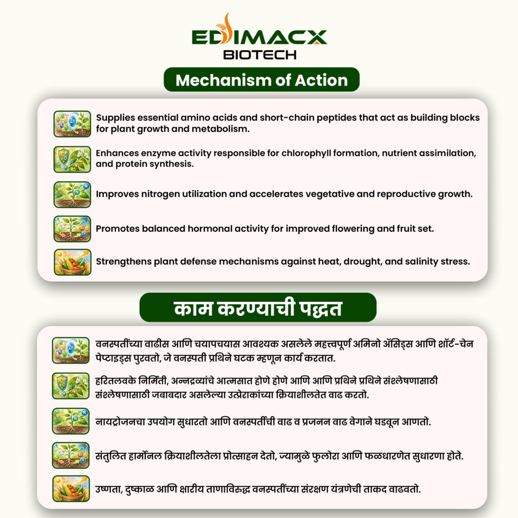EDIMACX TARKARI | ईडिमॅक्स तरकारी