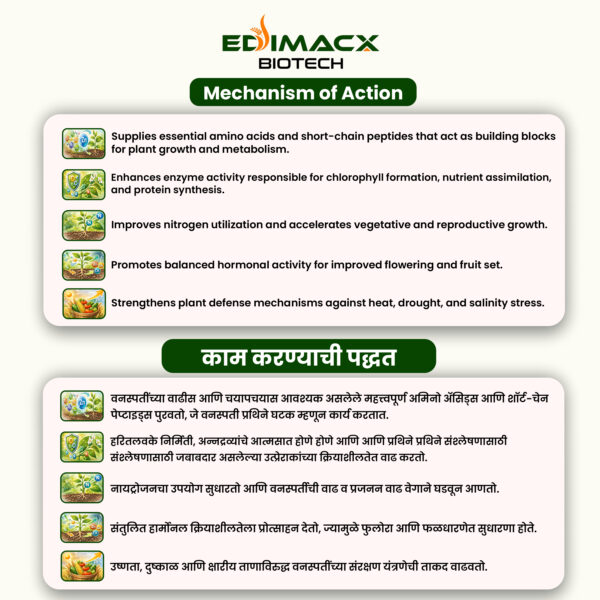 EDIMACX TARKARI | ईडिमॅक्स तरकारी