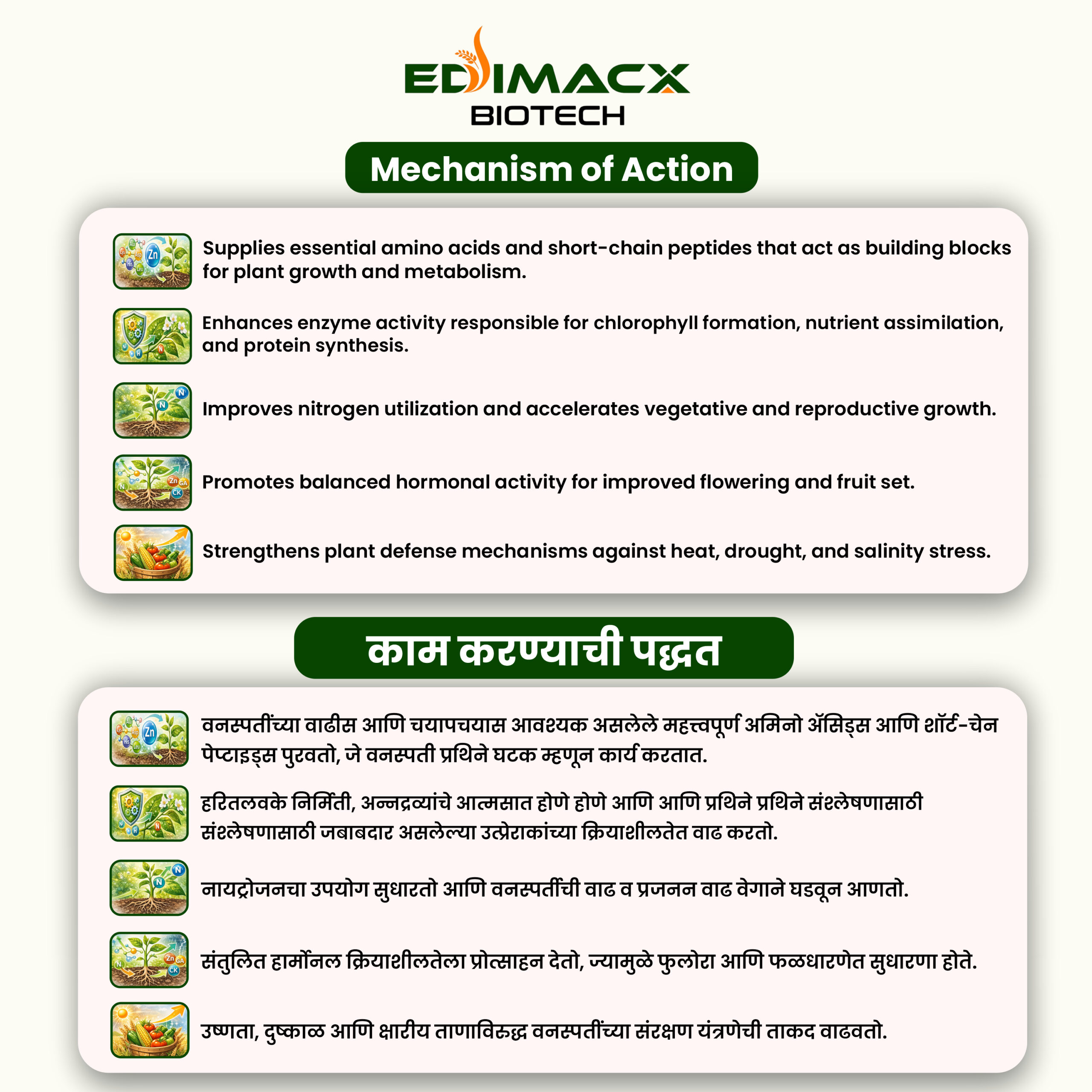 EDIMACX TARKARI | ईडिमॅक्स तरकारी - Image 3