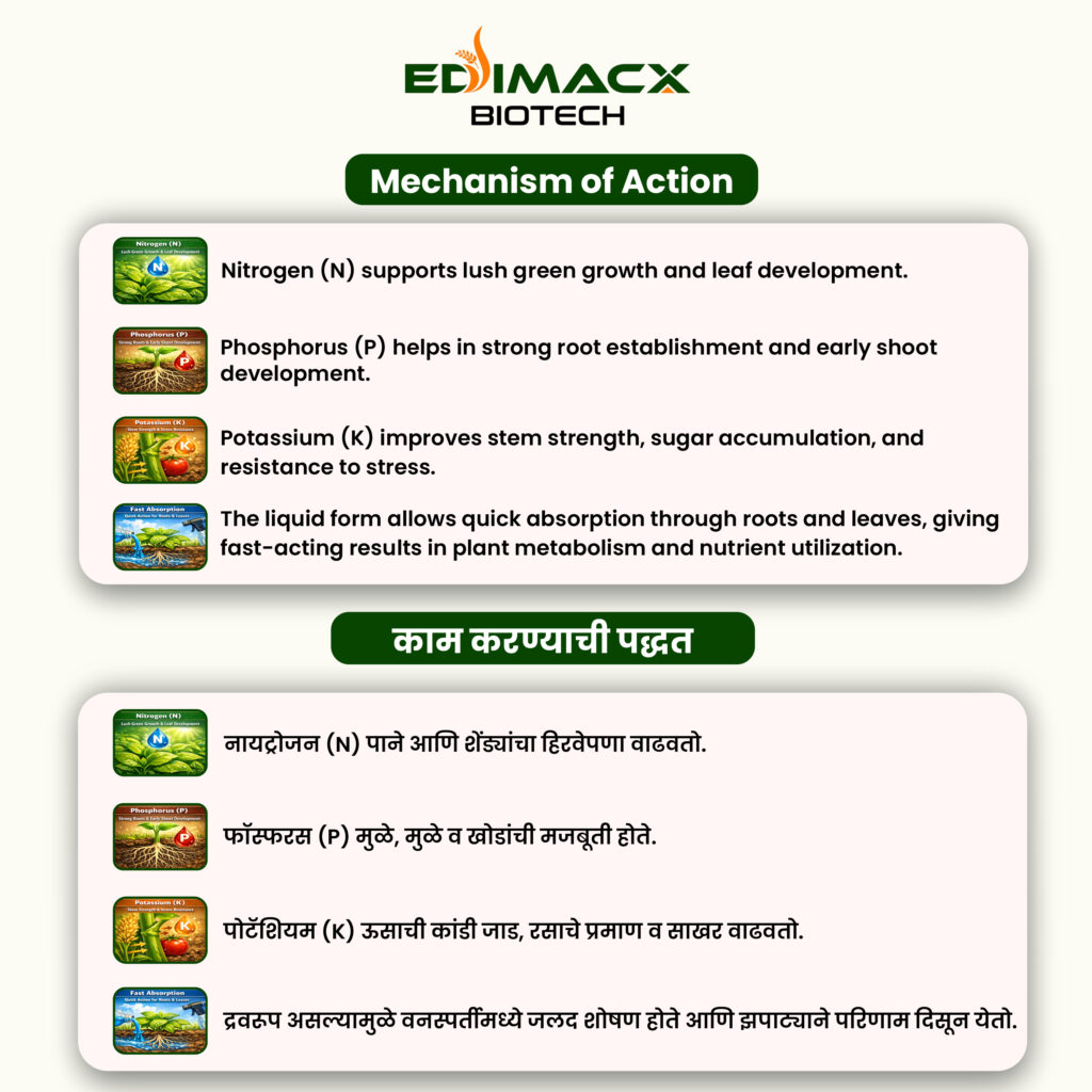 EDIMACX VIRIDITY SP (N-8) | ईडिमॅक्स व्हेरीडीटी SP (N-8)