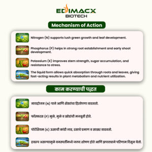 EDIMACX VIRIDITY SP (N-8) | ईडिमॅक्स व्हेरीडीटी SP (N-8) - Image 4