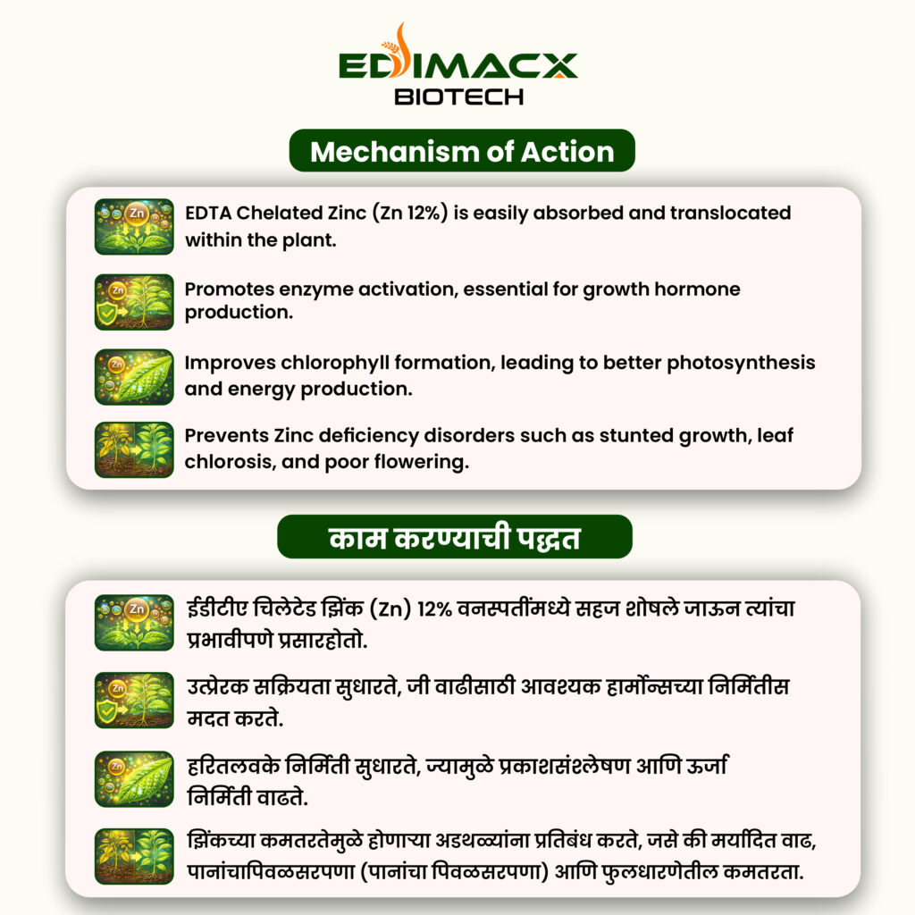 EDIMACX ZN-12 | ईडिमॅक्स झेडएन १२
