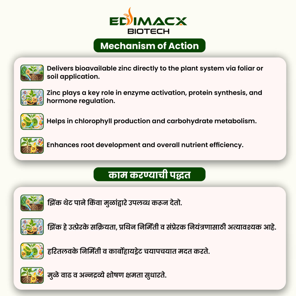EDIMACX ZODIAC 40 | ईडिमॅक्स झोडियाक ४०