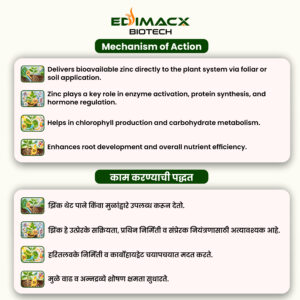 EDIMACX ZODIAC 40 | ईडिमॅक्स झोडियाक ४० - Image 4