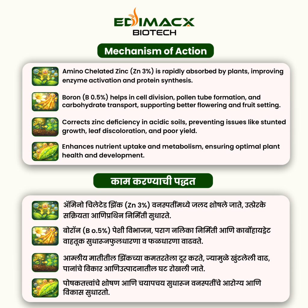 EDIMACX BOROZONE P-9 | ईडिमॅक्स बौरोझोन P-9 (Amino Base)