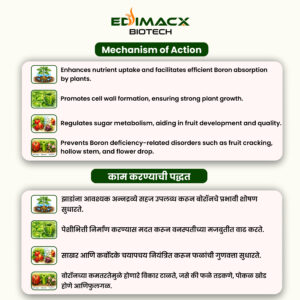 EDIMACX-B DOT 20 | ईडीमॅक्स–बी डॉट २० - Image 3