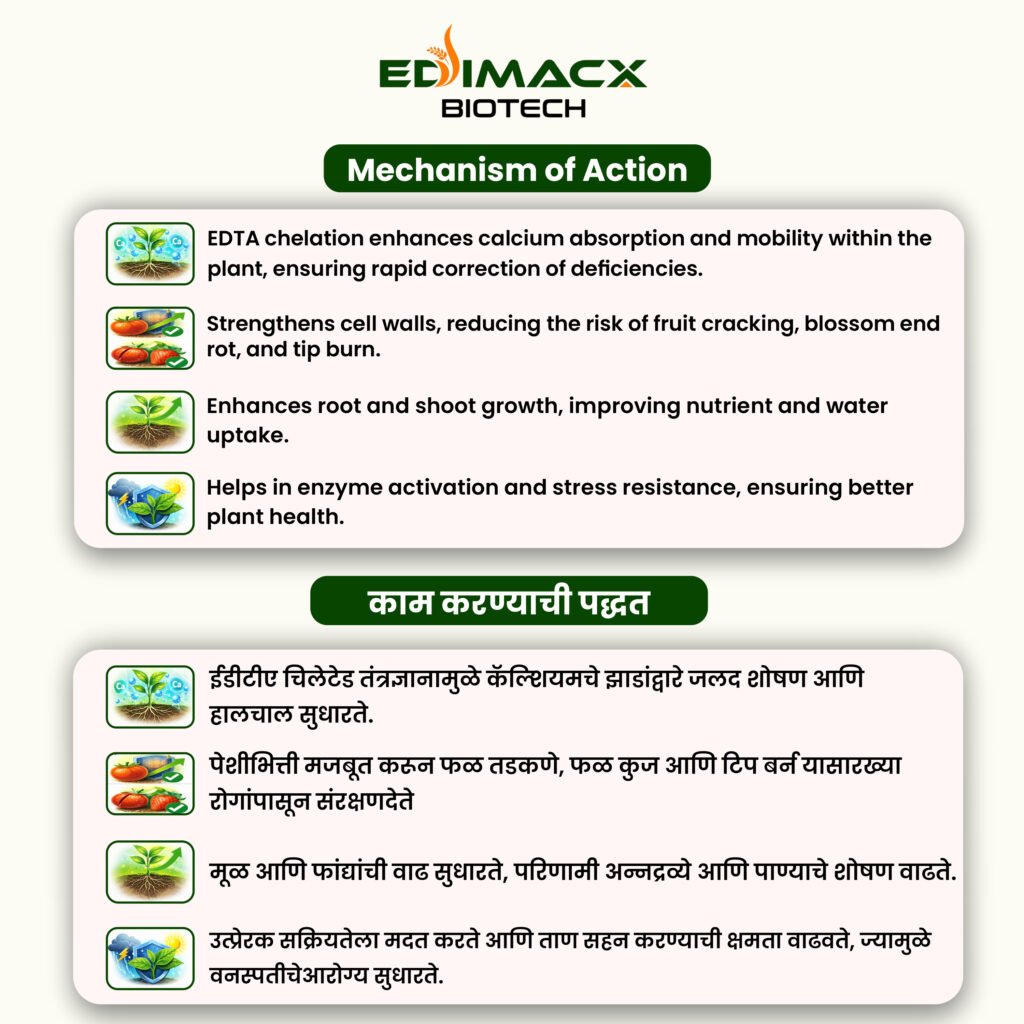 EDIMACX CA-10 | ईडीमॅक्स सिए-१०