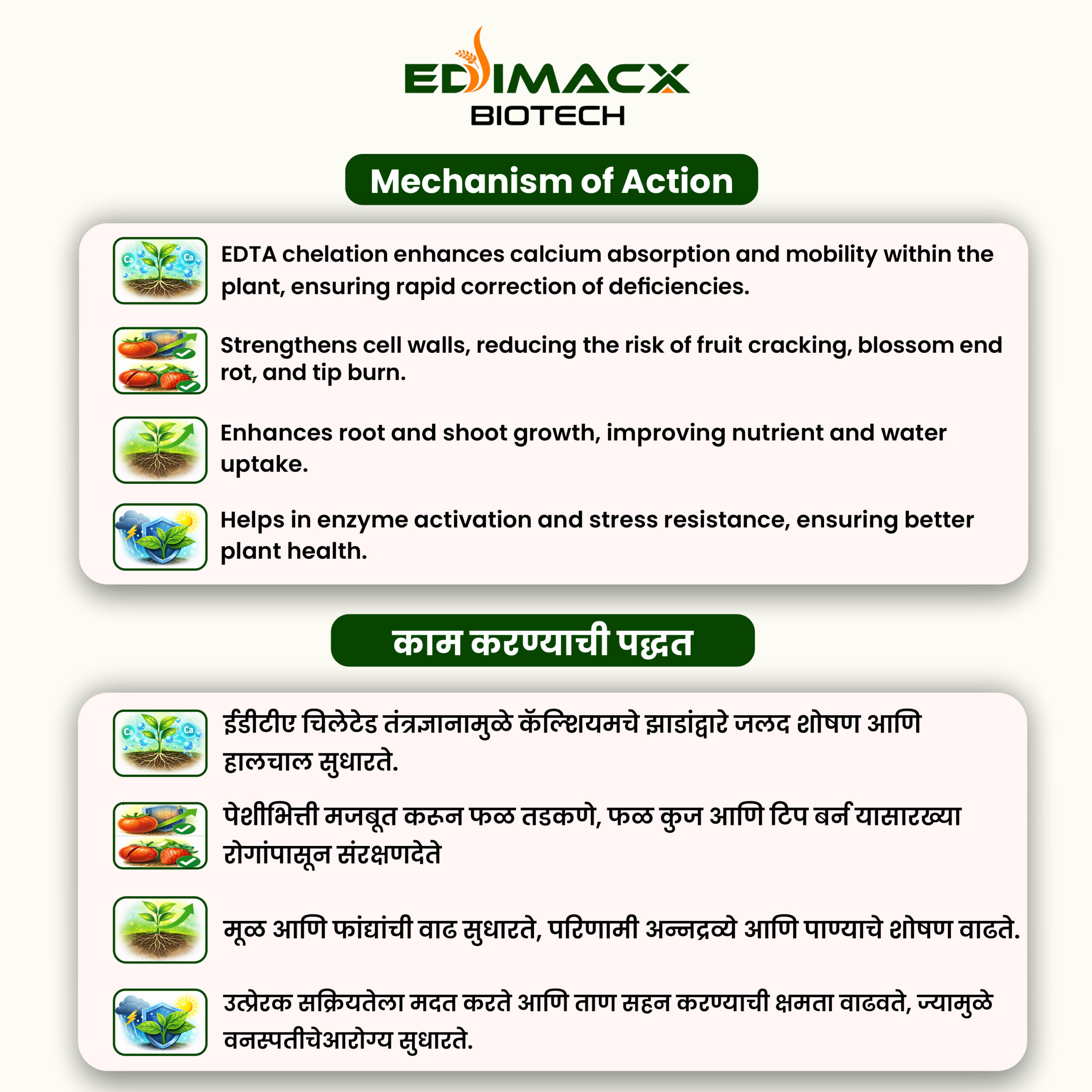 EDIMACX CA-10 | ईडीमॅक्स सिए-१० - Image 3