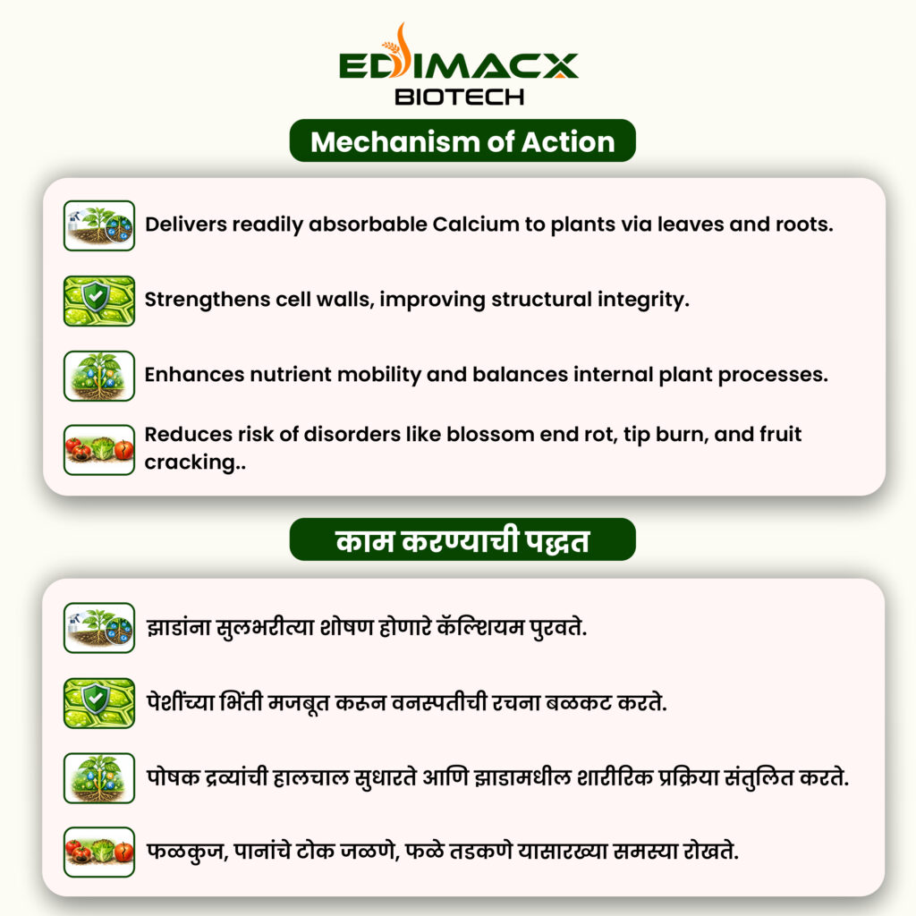 EDIMACX CALORIES-11 | ईडिमॅक्स कॅलोरीज ११