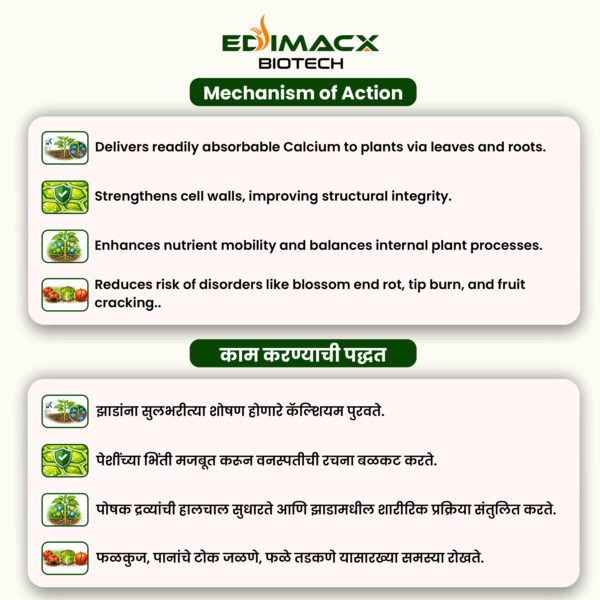 EDIMACX CALORIES-11 | ईडिमॅक्स कॅलोरीज ११