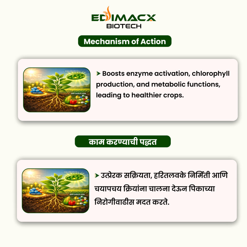 EDIMACX AMI COMBI P-II | ईडिमॅक्स AMI कॉम्बी P-II