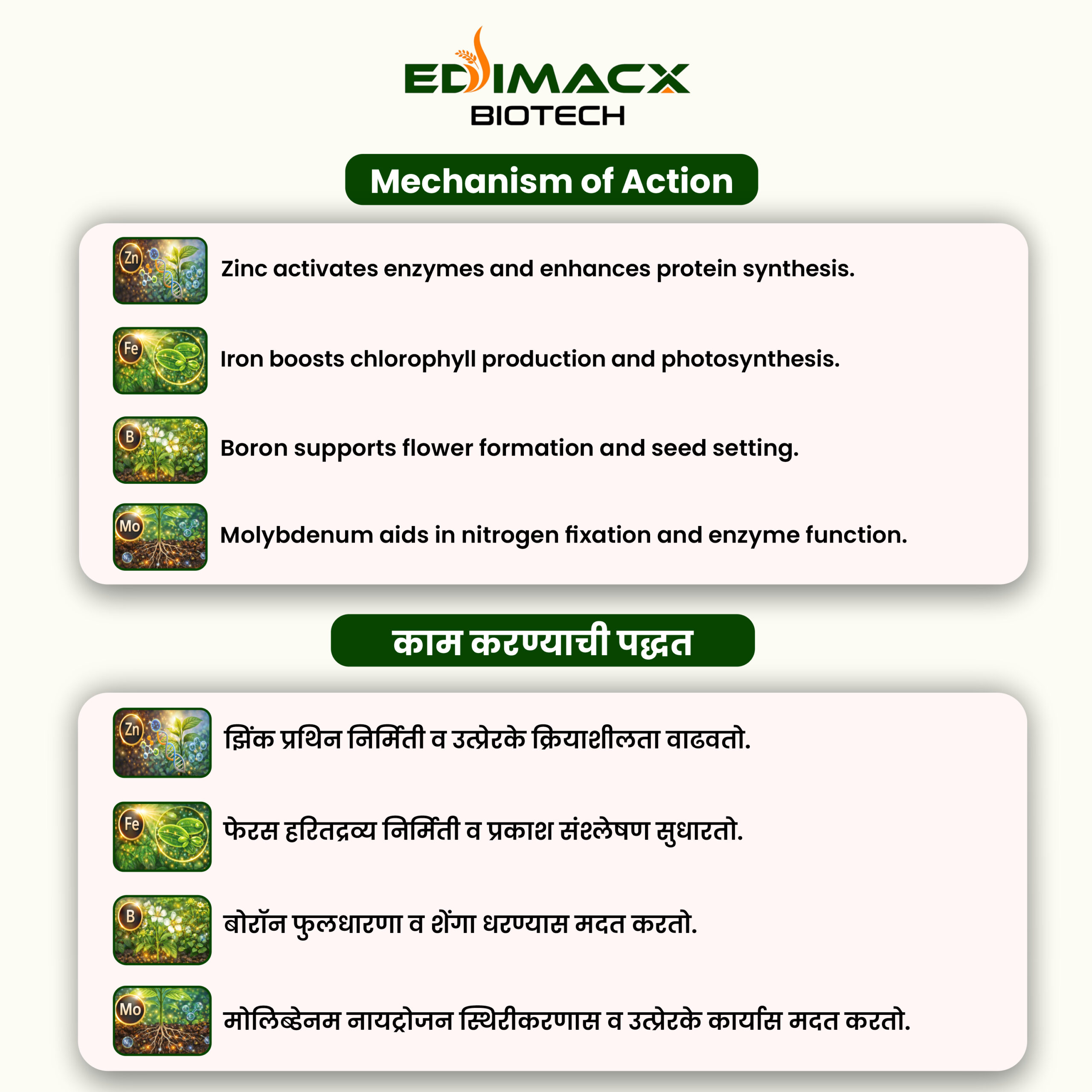 EDIMACX DALMAKER | इंडिमॅक्स डाळमेकर - Image 3