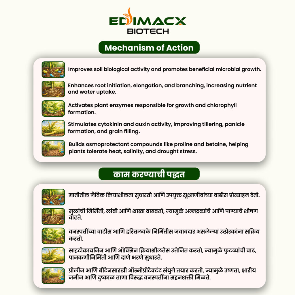 EDIMACX DIGEST L | ईडिमॅक्स डायजेस्ट-एल