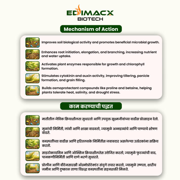 EDIMACX DIGEST L | ईडिमॅक्स डायजेस्ट-एल