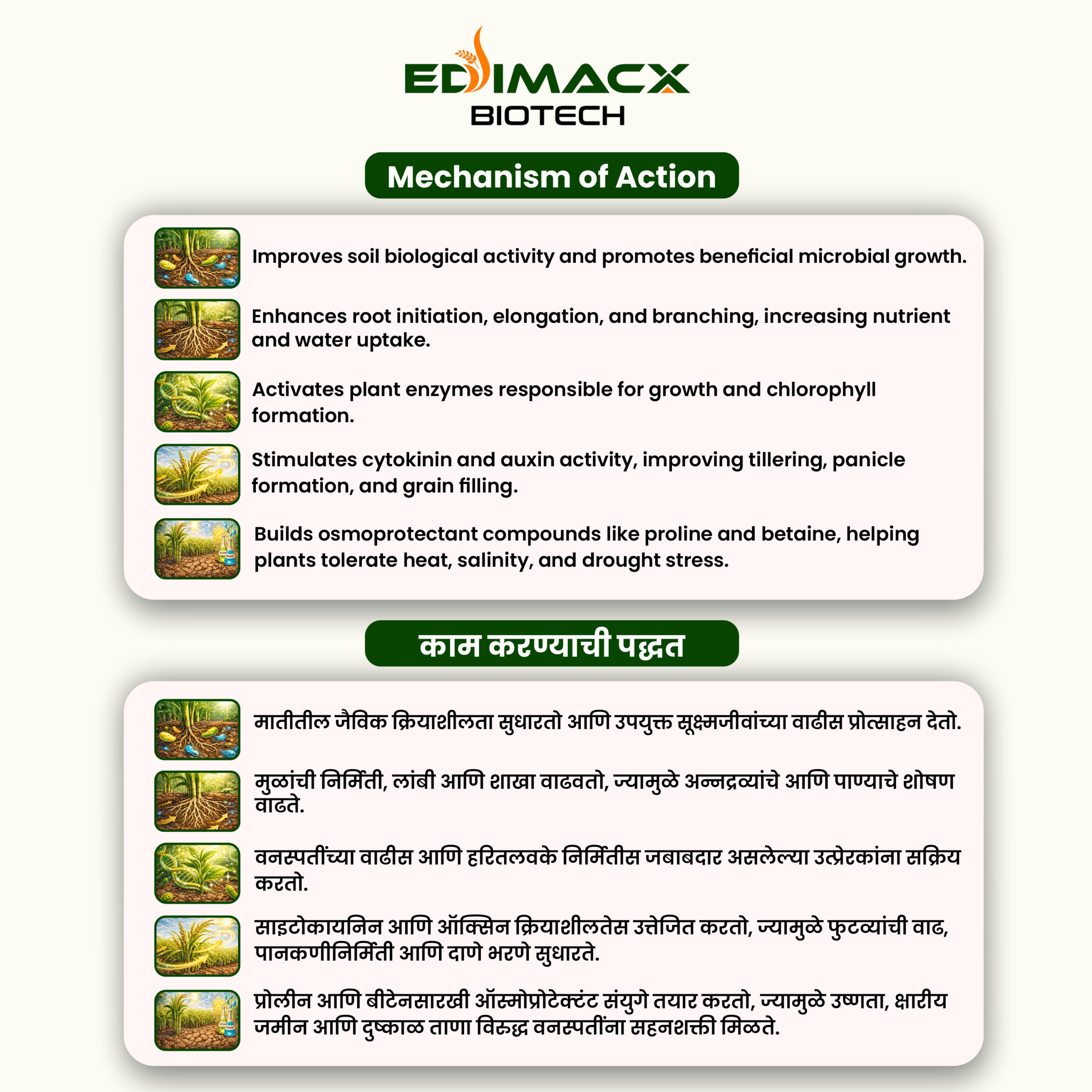 EDIMACX DIGEST L | ईडिमॅक्स डायजेस्ट-एल - Image 3