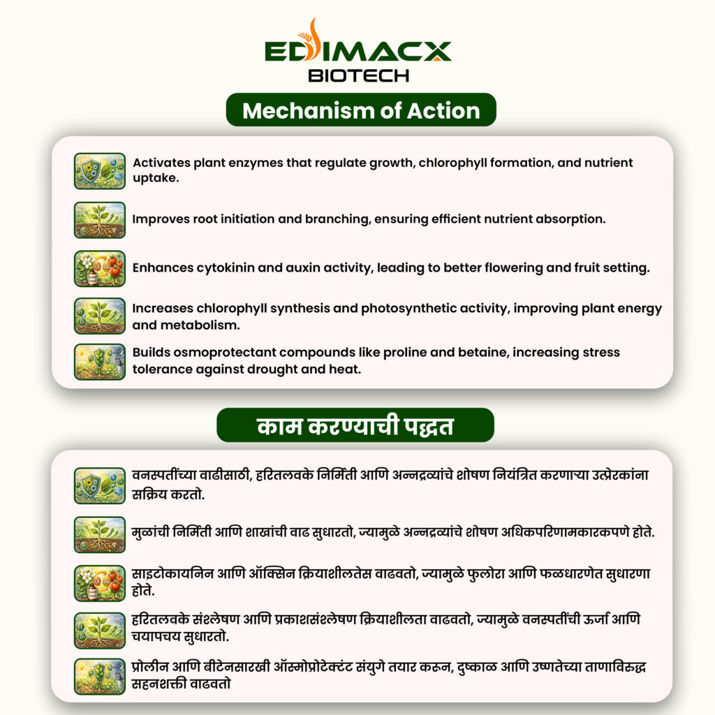 EDIMACX DIGEST P | ईडिमॅक्स डायजेस्ट-पी