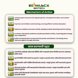 EDIMACX DIGEST P | ईडिमॅक्स डायजेस्ट-पी - Image 3