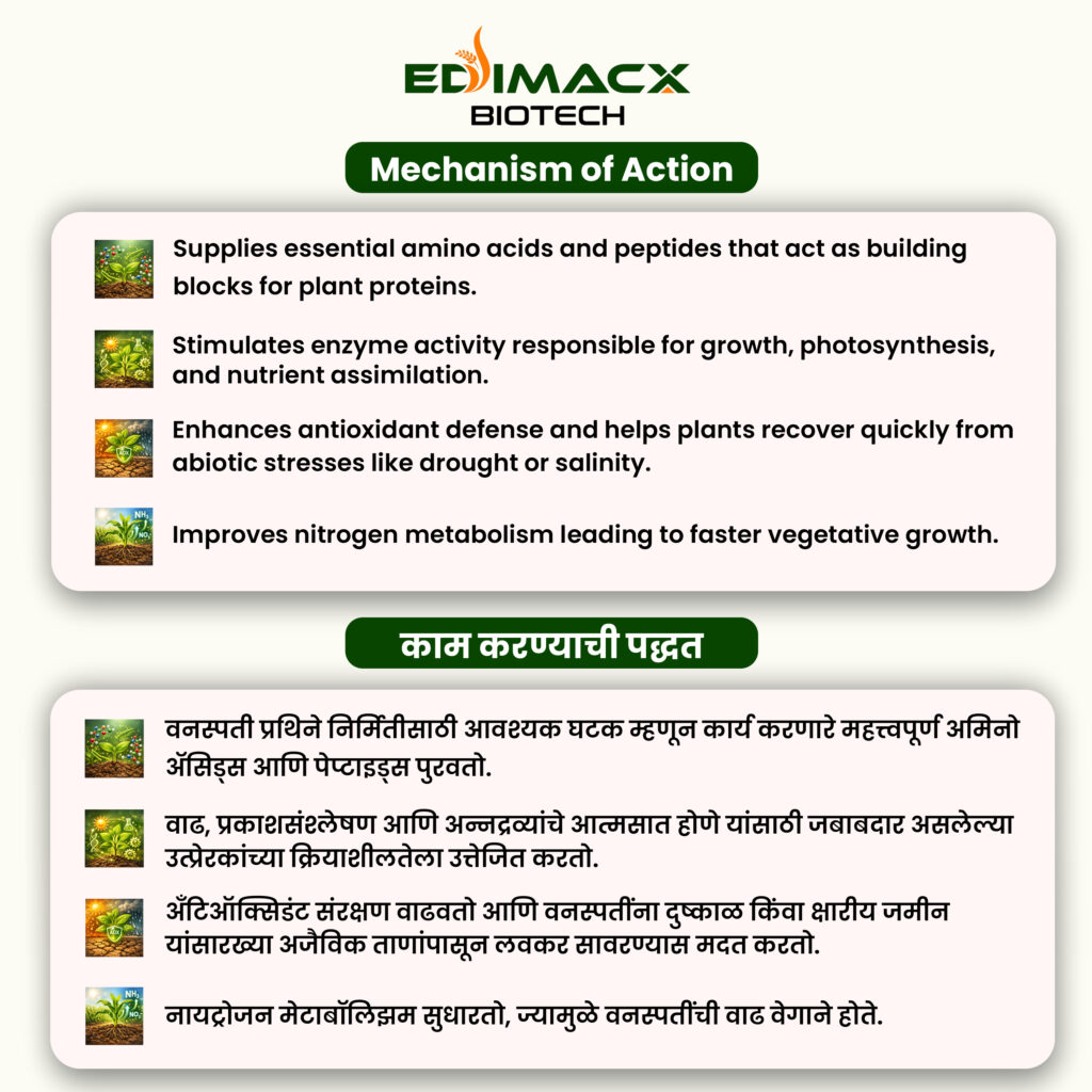 EDIMACX GREATER | ईडिमॅक्स ग्रेटर