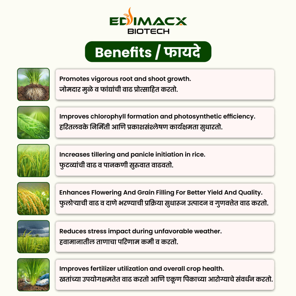 EDIMACX GREATER | ईडिमॅक्स ग्रेटर