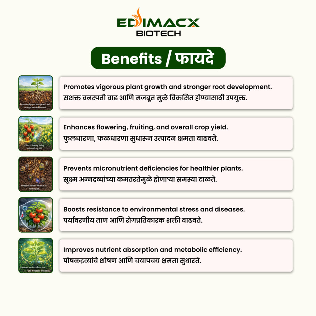 EDIMACX AMI COMBI P-II | ईडिमॅक्स AMI कॉम्बी P-II