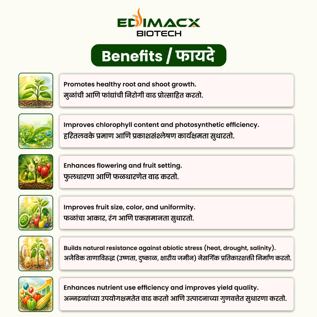EDIMACX INTACT-P | ईडिमॅक्स इनटॅक्ट-पी
