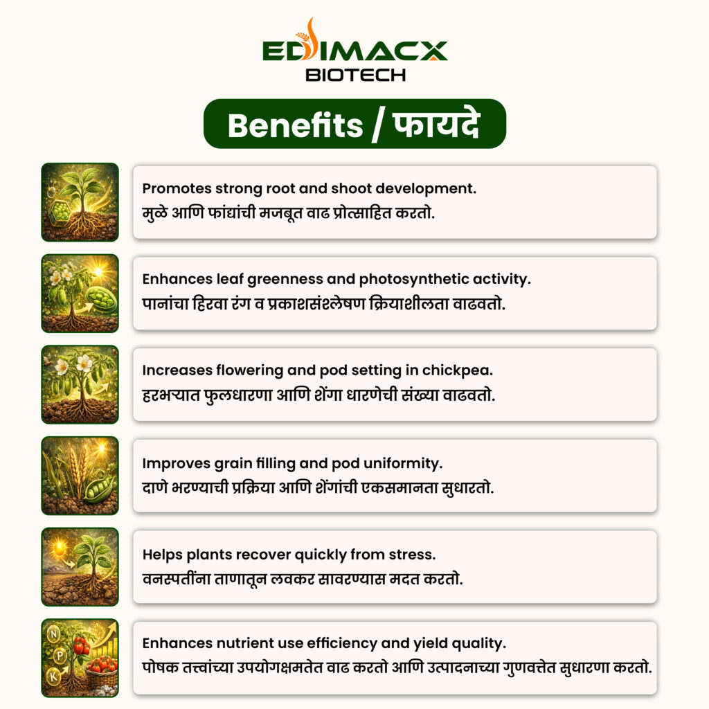 EDIMACX ISBEN | ईडिमॅक्स इसबेन