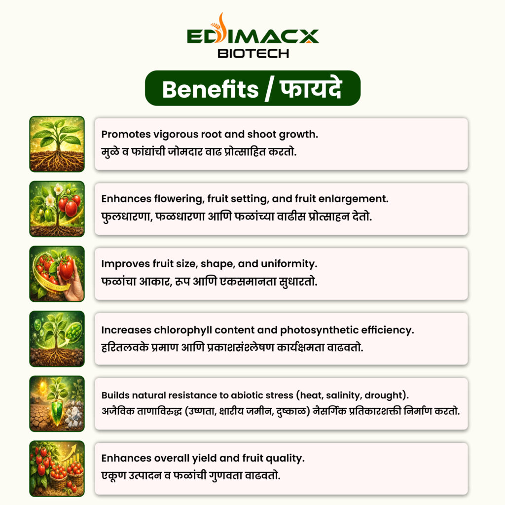 EDIMACX KELWIN PACK L | ईडिमॅक्स के क्ल्वन पॅक एल