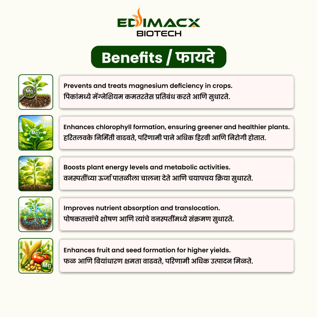 EDIMACX MAGNET MG 6% | ईडीमॅक्स मॅग्नेट Mg 6%